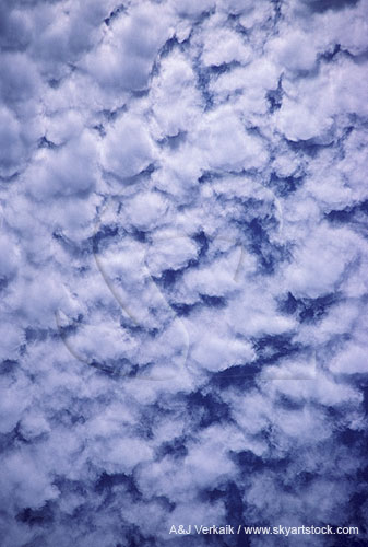 Wool gathering: woolly clouds in a meditative cloudscape