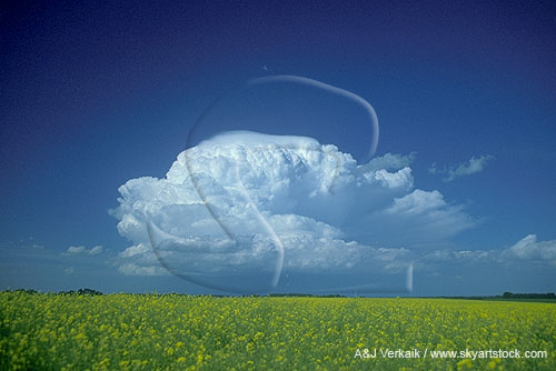 Cloud types, Cb: an organized Cumulonimbus cloud with Pileus cap