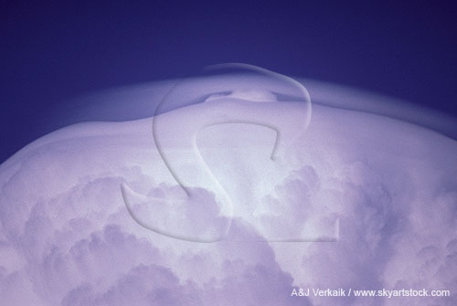 Pileus cloud cap which is stationary in its vertical position