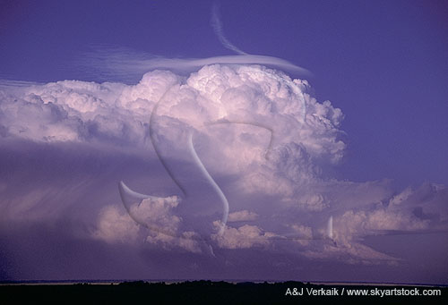Overview of a boiling thunderhead with Pileus in early evening light