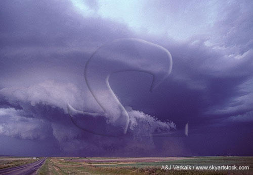 Competing forces under a storm cloud