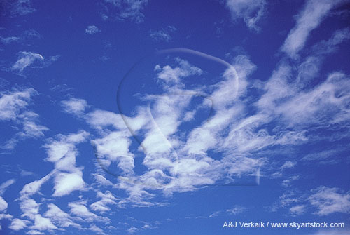 Whimsical cloud billows float free in a bright blue sky