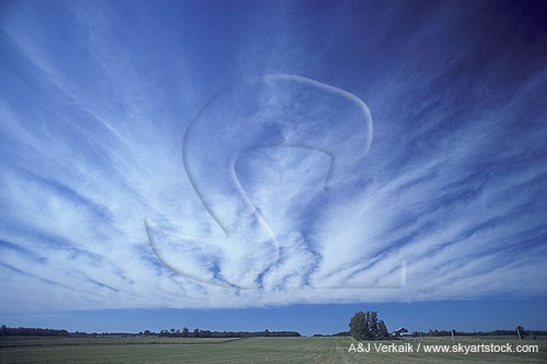 Cloud types, Ci: a sheet of Cirrus clouds in parallel bands