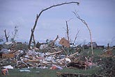 Tornado damage rated F2, with shredded homes and trees