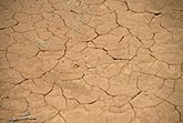 A pattern of cracked earth caused by drought