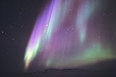 Bright purple and green curtains of northern lights(Aurora Borealis)