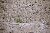 The ravages of heat and drought bake the earth 