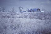 A frosty scene with hoarfrost coating farm crops