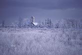 Rural scene with hoarfrost coating farm crops and silo