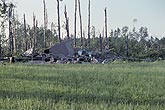 Stripped trees and the rubble of a farm building due to tornado damage