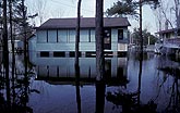 Flooding surrounds houses and trees