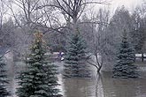 Trees surrounded by flood waters in a riverside park