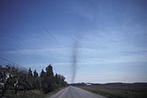 A cloud of mating insects (midges or gnats) in tight column over road