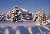 Country house and trees bent under heavy snow cover