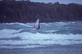 A windsurfer revels in wind and waves