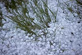 Pea to marble hailstones on a grassy roadside