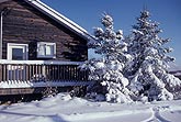 Country cottage with heavy snow on trees