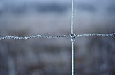 Close-up of frost (hoarfrost) coating a wire fence with ice nodules