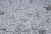 Cracked ground caused by extreme heat during drought