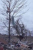 Tornado debris hangs in trees after a row of houses is destroyed