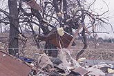 Household items hang in trees after a devastating tornado.
