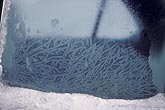 Frost pattern on a car window