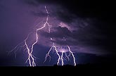 Finely branched cloud-to-ground lightning bolts piercing low clouds