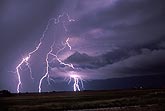 Elegant cloud-to-ground lightning channels light up low clouds