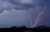 A fine tracery of filaments on lightning strikes at twilight