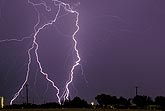 A tracery of fine filaments and jagged cloud-to-ground lightning bolts