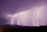 Multiple cloud-to-ground lightning bolts strike with a purple glow