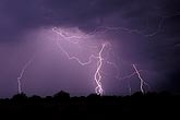 Crazy erratic lightning flashes in a purple sky