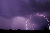 Elegant cloud-to-ground lightning bolts with fine filaments