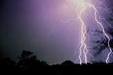A mesh of fine filament on cloud-to-ground lightning bolts