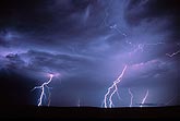 Bolts and lightning filaments in a storm which is full of action