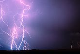 A dense mesh of filaments adorns cloud-to-ground lightning bolts