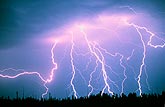 A barrage of bright and lightning strikes a forest