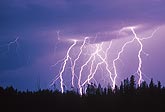 Multiple bolt lightning strikes in a forest