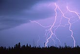Close-up of cloud-to-ground lightning over trees 