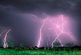 Fine filaments and lightning bolts against a purple glow of stormy sky