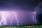 Multiple cloud-to-ground lightning bolts in a stormy sky