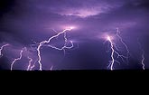 Highly detailed cloud-to-ground lightning bolts