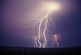 Finely branched cloud-to-ground lightning with forks