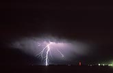 A single lightning bolt with hairy forks near city lights