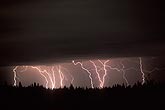 Multiple lightning bolts over a forest at night
