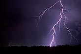 A forest is struck by lightning in this close-up of a forked bolt 