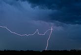 A cloud-to-ground lightning bolt with a wandering branch