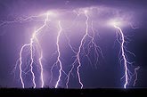 Highly electric display of finely detailed lightning strikes