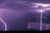 Cloud-to-ground lightning strikes with many forks and filaments