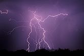A fine tracery of filaments entwines lightning bolts